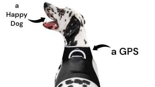 GPRS GSM GPS Pocket Dog Tracking Collar Device Waterproof Pet Locator Size:S